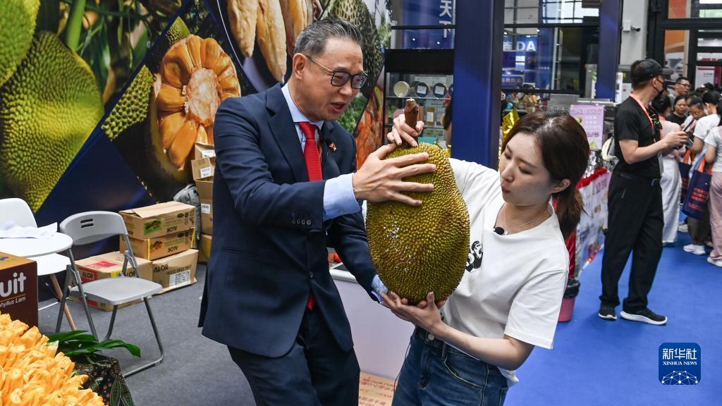 迎丰棋牌平台